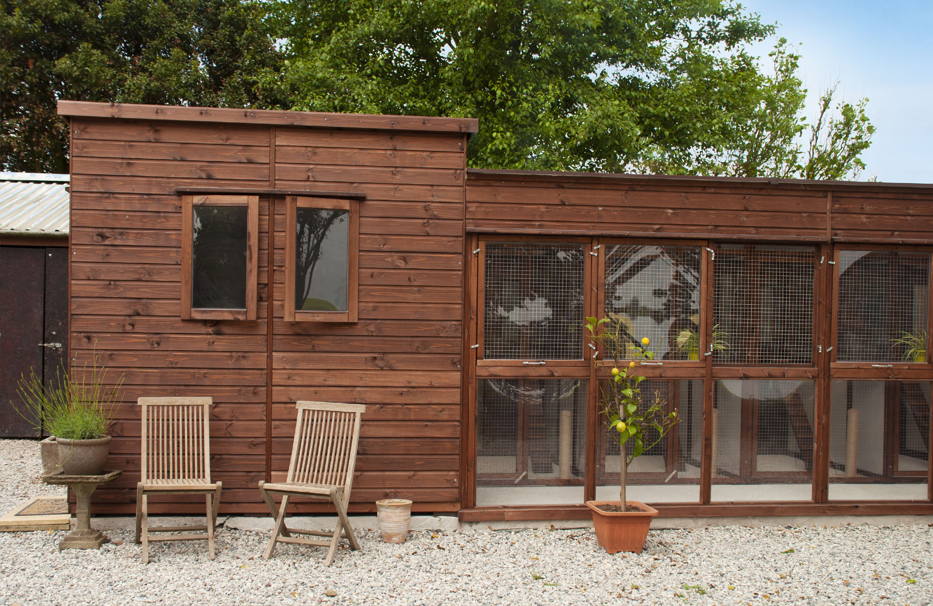 North Devon Cattery Barnstaple Cattery Bideford Cattery Church